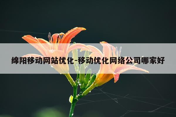 绵阳移动网站优化-移动优化网络公司哪家好