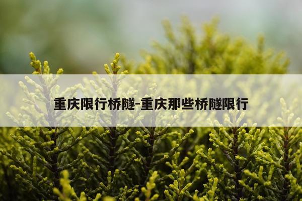 重庆限行桥隧-重庆那些桥隧限行