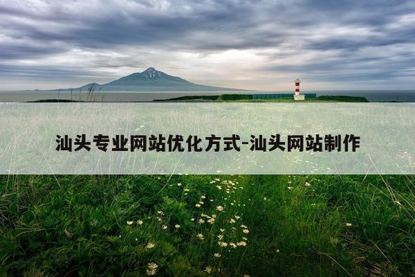 汕头专业网站优化方式-汕头网站制作