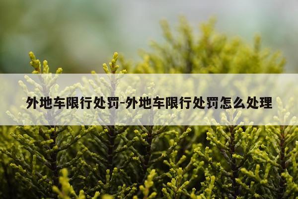 外地车限行处罚-外地车限行处罚怎么处理
