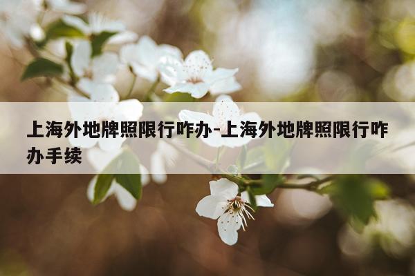 上海外地牌照限行咋办-上海外地牌照限行咋办手续
