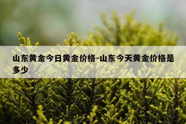 山东黄金今日黄金价格-山东今天黄金价格是多少