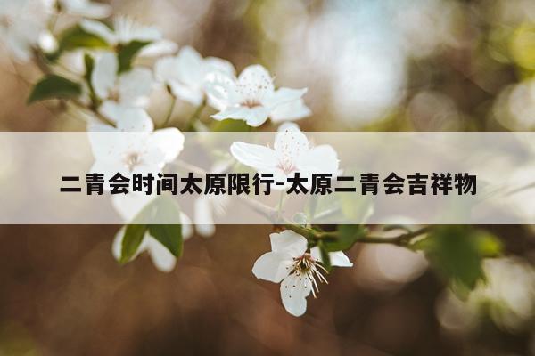 二青会时间太原限行-太原二青会吉祥物