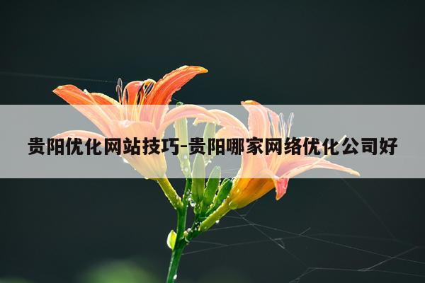 贵阳优化网站技巧-贵阳哪家网络优化公司好