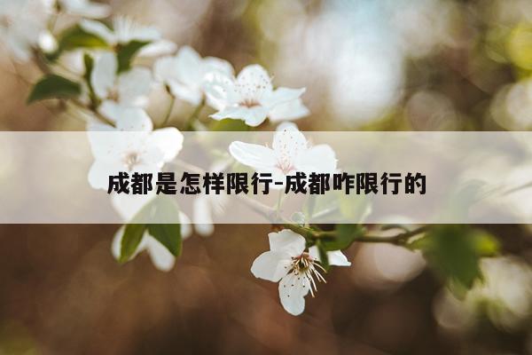 成都是怎样限行-成都咋限行的