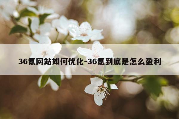 36氪网站如何优化-36氪到底是怎么盈利