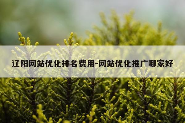 辽阳网站优化排名费用-网站优化推广哪家好