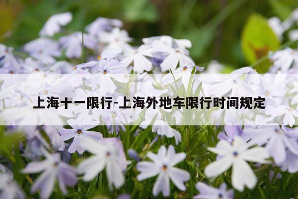 上海十一限行-上海外地车限行时间规定