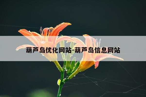 葫芦岛优化网站-葫芦岛信息网站