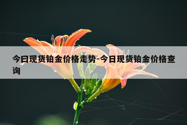 今曰现货铂金价格走势-今日现货铂金价格查询