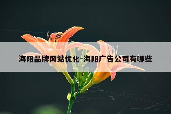 海阳品牌网站优化-海阳广告公司有哪些