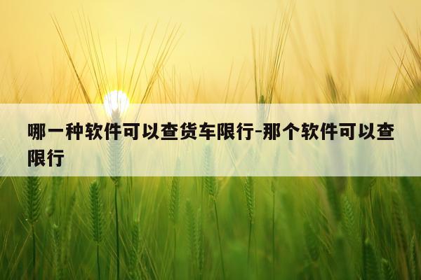 哪一种软件可以查货车限行-那个软件可以查限行