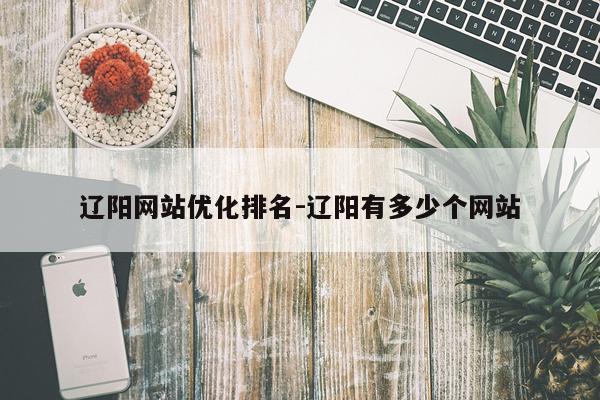 辽阳网站优化排名-辽阳有多少个网站