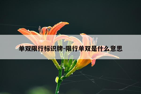 单双限行标识牌-限行单双是什么意思