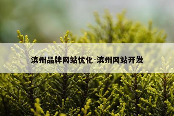滨州品牌网站优化-滨州网站开发