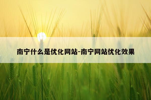 南宁什么是优化网站-南宁网站优化效果