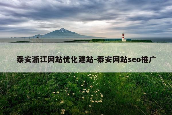 泰安浙江网站优化建站-泰安网站seo推广
