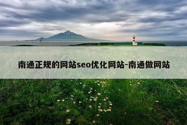 南通正规的网站seo优化网站-南通做网站