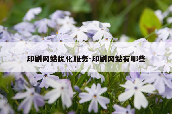 印刷网站优化服务-印刷网站有哪些