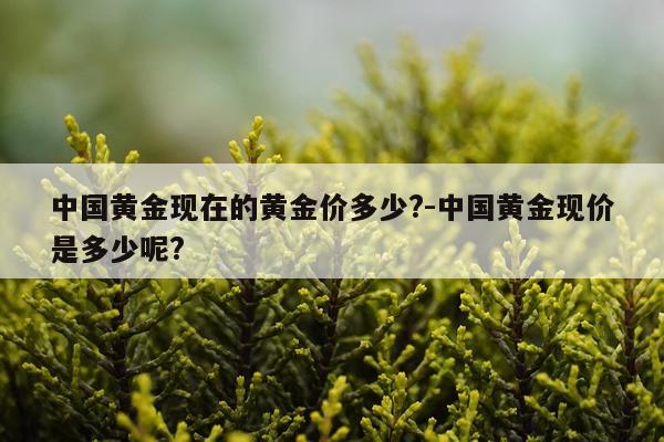 中国黄金现在的黄金价多少?-中国黄金现价是多少呢?