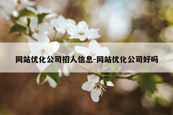 网站优化公司招人信息-网站优化公司好吗