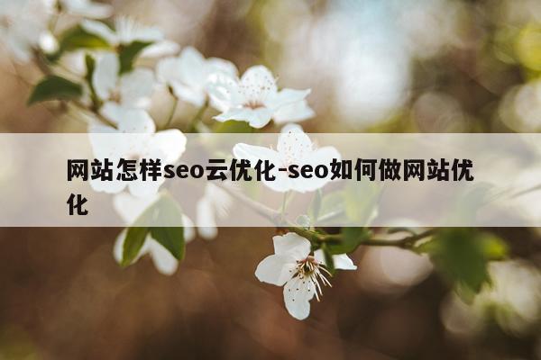网站怎样seo云优化-seo如何做网站优化