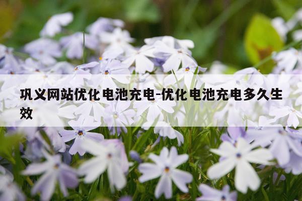 巩义网站优化电池充电-优化电池充电多久生效