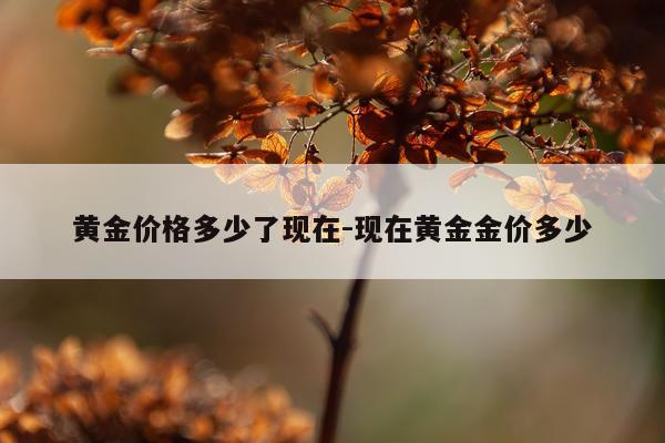 黄金价格多少了现在-现在黄金金价多少