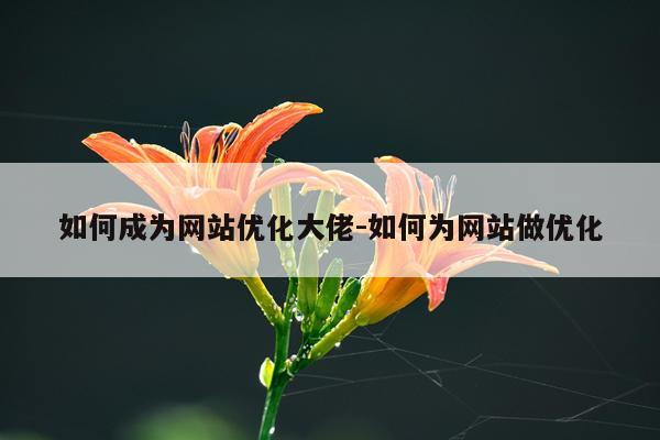 如何成为网站优化大佬-如何为网站做优化