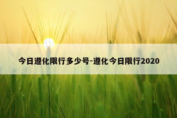 今日遵化限行多少号-遵化今日限行2020