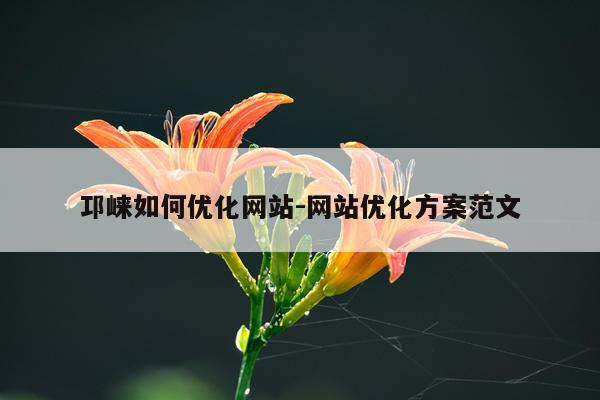 邛崃如何优化网站-网站优化方案范文