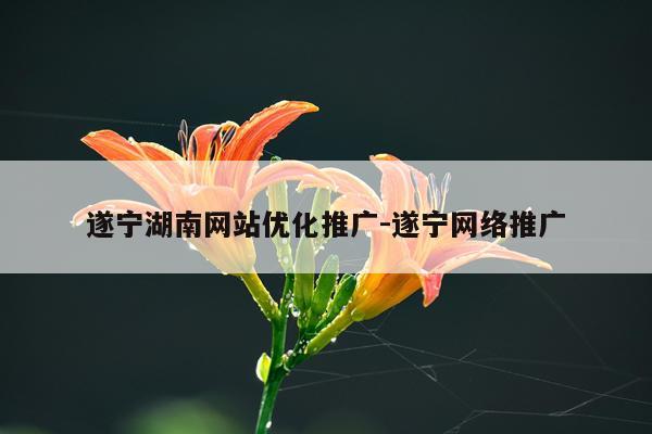 遂宁湖南网站优化推广-遂宁网络推广