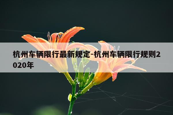 杭州车辆限行最新规定-杭州车辆限行规则2020年