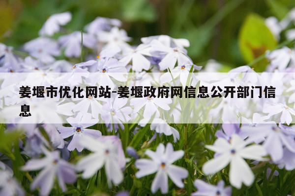 姜堰市优化网站-姜堰政府网信息公开部门信息