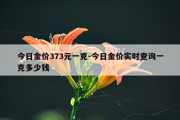 今日金价373元一克-今日金价实时查询一克多少钱