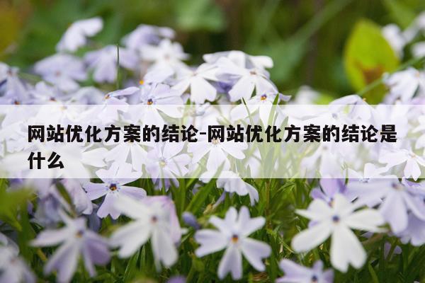 网站优化方案的结论-网站优化方案的结论是什么