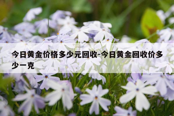 今日黄金价格多少元回收-今日黄金回收价多少一克