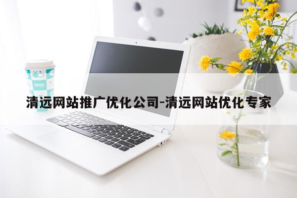 清远网站推广优化公司-清远网站优化专家