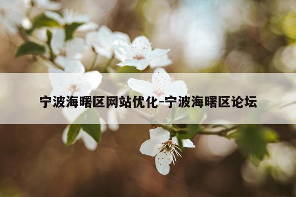 宁波海曙区网站优化-宁波海曙区论坛