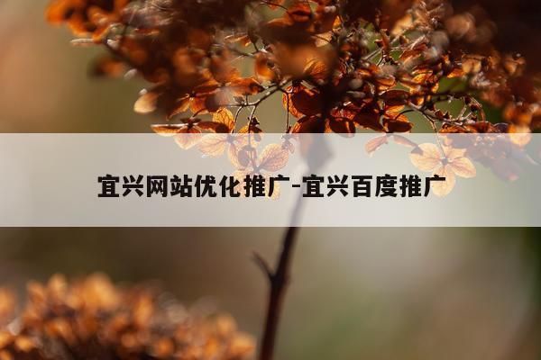宜兴网站优化推广-宜兴百度推广