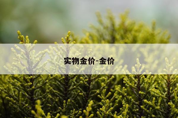 实物金价-金价