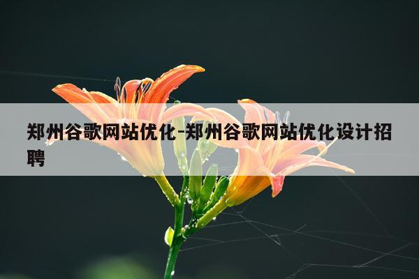郑州谷歌网站优化-郑州谷歌网站优化设计招聘